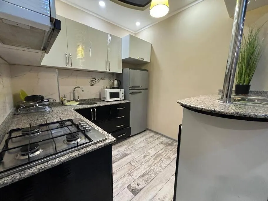 Great Two Bedroom Apartment In Central باتومي